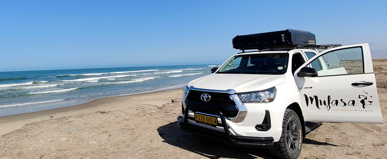 Mufasa Car Rental vehicle on tour